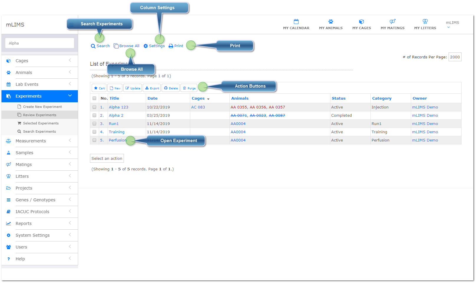 Browse, Search, and Review Experiments