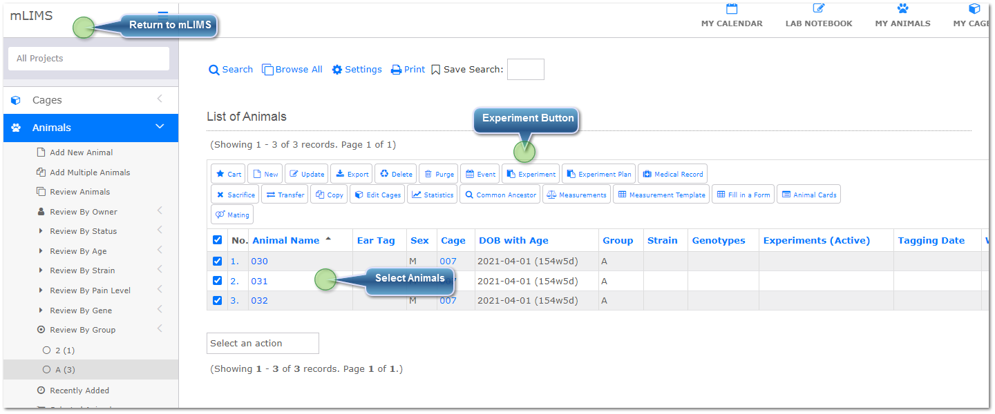 Create experiment from mLIMS Program