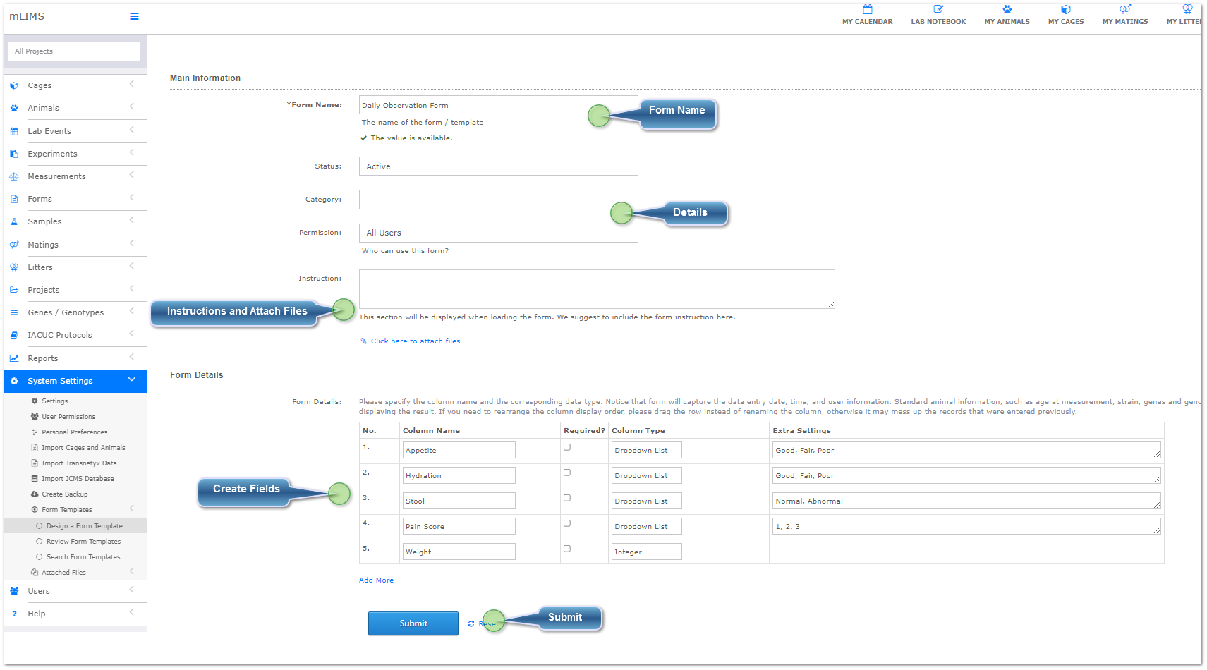 Create Form Templates