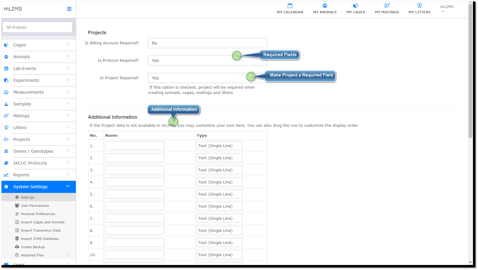 Project Settings