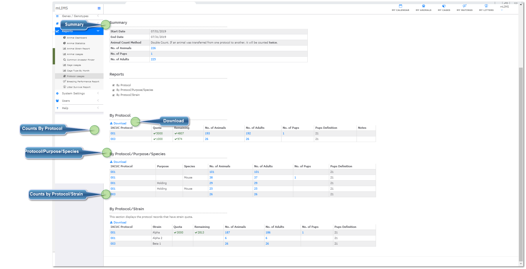 Protocol Report Results