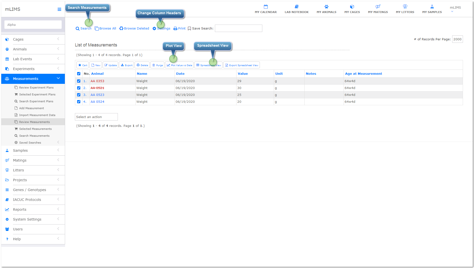 Review, Search and Sort  Measurements