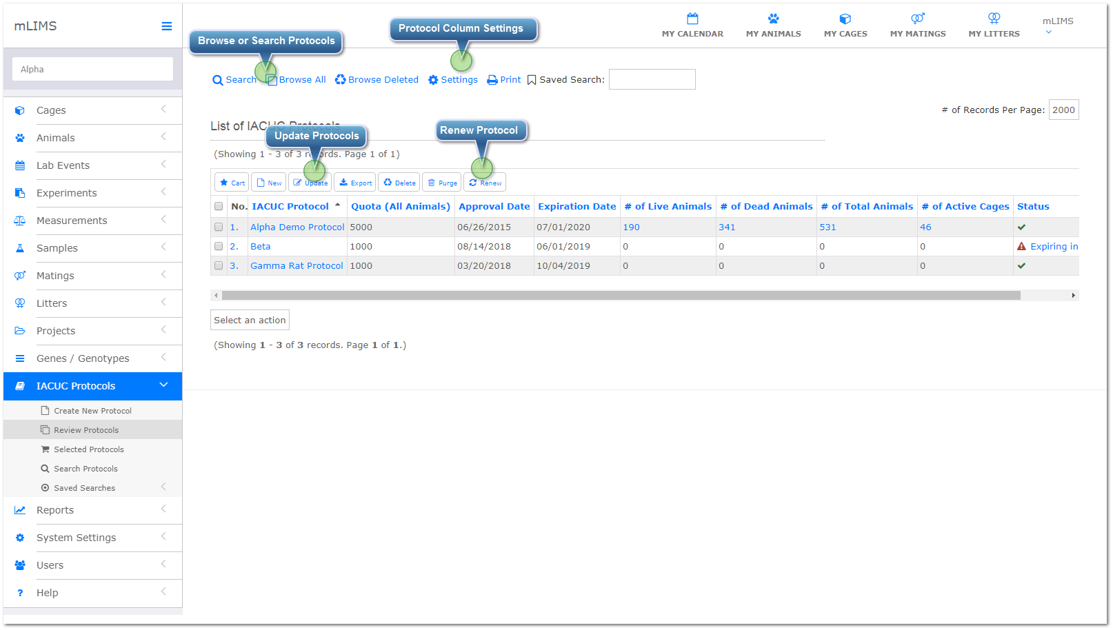 Review and Edit Protocols